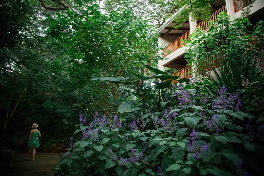Honeywood Forest Lodge Port Shepstone Exterior photo